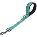 Vivaglory short dog leash short training lines for medium -sized and large dogs short traffic leash for dogs 46 cm length 2.5 cm wide green 46 cm green