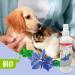 Beaphar Bio Combing Aid Spray for Dogs & Cats - 200ml Demelanter for Matted Fur Relief - Buy Online on GoSupps.com