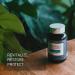 Akarali Tongkat Ali Extract 200:1 | 1.5% Eurycomanone | US Patented Phyta Formula | Energy & Performance Support - Buy Online on GoSupps.com