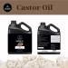 Naturevibe Botanicals Castor Oil 32oz - 100% Pure & Natural Castor Oil 32 Fl Oz (1 Pack) - Buy Online on GoSupps.com