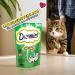 Dreamies Cat Snacks with Catnip - Creamy & Crispy Treats 6x60g | International Shipping Available - Buy Online on GoSupps.com