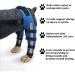 Adjustable Knee Brace for Dogs Pet Hind Legs Protector for CCL Injury Patella Luxation Arthritis Joint Pain Dog Leg Braces for Back Leg|Blue (M) - Buy Online on GoSupps.com
