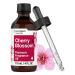 Cherry Blossom Fragrance Oil | 4 fl oz (118ml) | Premium Grade | for Diffusers  Candle and Soap Making  DIY Projects & More | by Horbaach