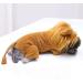 XIAOYU Pet Clothes | XL Lion Hoodie for Dogs & Cats | Warm Halloween Cosplay Sweater | Cute Puppy Costume Party Apparel - Buy Online on GoSupps.com