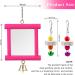 Chicken Mirror Toys with Bell and Beak Grinding Stones for Hens, Birds, Parrots - Set of 6 Pieces - Buy Online on GoSupps.com