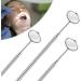 Spuzzo Stainless Steel Mouth Mirror - Dental Tool for Eyelash Makeup Control & Inspection | Mini-Mirror for Clinics - Buy Online on GoSupps.com