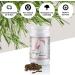 Equimove Dermal (1.5 kg) | Skin Fur & Hoof Support | Summer Eczema Relief | Biotin Zinc & Lycopene Formula - Buy Online on GoSupps.com