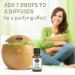 Organic Tea Tree Essential Oil 0.5 fl oz - Pure & Non-GMO for Diffuser & Aromatherapy - Buy Online on GoSupps.com