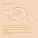 REN Clean Skincare Glow Tonic 16.9 Fl Oz - Daily Facial Brightening Exfoliant with AHAs & BHAs - Cruelty Free & Vegan Pore Reducing Toner - Buy Online on GoSupps.com