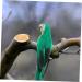 TOYANDONA 5pcs Ornament Bird Artificial Vivid Feathered Green Statue for Supply Figure Home Lifelike 20x5cmx5pcs Greenx5pcs - Buy Online on GoSupps.com