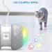 Titipet Interactive Robotic Cat Toy - Auto Rechargeable Feather/Bird/Mouse Toy for Indoor Cats/Kittens - 360 Degree Self Rotating Ball - Buy Online on GoSupps.com