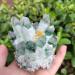 Room Decoration 1pc Natural Green Phantom Quartz Crystal Cluster Yellow Citrine Stone Ornaments 300G-900G for (Color : 1pc390g-470g Size : 1PC) 1PC 1pc390g-470g - Buy Online on GoSupps.com