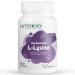 AMBROSIAL L-lysine | High Strength L-lysine Tablets 500mg | Immune Support & Supports Collagen Synthesis | Essential Amino Acids for Active Lifestyle (Pack of 1-120 Tablets)