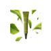 Tony Moly Chok Chok Green Tea Eye Cream 30ml - Hydrating & Soothing - Buy Online on GoSupps.com