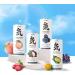 CHI FOREST Variety Pack Sparkling Water - Buy Online on GoSupps.com