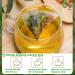 Plant Gift Honeysuckle Tea Bag 8.81oz (5g*50bags) Rock Sugar Licorice Chinese Pure Natural Health Care Mixed Tea Combination of Floral Tea 250g - Buy Online on GoSupps.com