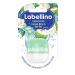 Labellino lip balm with coconut water-aloe vera scent 2 pack (2x7g) Vera scent aloe vera 7 g (2 pack)