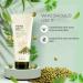 THE FACE SHOP Herb Day 365 Cleansing Foam Mung Bean - Buy Online on GoSupps.com