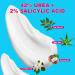 ENVISHA 42% Urea Cream for Feet w/ Salicylic Acid & Hyaluronic Acid - 4 oz - Moisturizer for Hands, Heels, Elbows, Nails & Knees - Buy Online on GoSupps.com