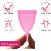 LESEN Menstrual Cup Set - 4 Reusable Period Cups in Blue and Pink - Soft Medical-Grade Silicone - Sterilizer Period Kit Included - Buy Online on GoSupps.com