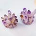 Home 1PC Natural Purple Crystal Cluster Original Stone Specimen Piece High Penetration Crystal Trophy Stone Home Goods (Color : Purple Cluster Size : 600-700g) 600-700g Purple Cluster - Buy Online on GoSupps.com