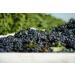 Premium Aged Balsamic Vinegar of Modena IGP Certified - 5L (169 fl oz) Mariella - Product of Italy - Bulk Packaging for Restaurants & Home Use - Buy Online on GoSupps.com