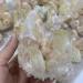 500-600g Natural Pink Ghost Phantom Quartz Crystal Cluster Specimen Crystal - Buy Online on GoSupps.com