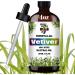 GV77ZF Essential Oil Two 4 Fl Oz (120Ml) Set - Pure Natural Vetiver Oil and Jasmine Essential Oil for Diffuser Humidifier Skin Care Home Fragrance Bath Hair Care Cleansing Massage Yoga DIY So - Buy Online on GoSupps.com