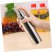 ABOOFAN Fuel Injector Sprayer Oil Spray Bottle Olive Pump Spray Bottle Bbq Cooking Tool Stainless Steel Vinegar Bottle - Buy Online on GoSupps.com