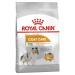 ROYAL CANIN Mini Coat Care - 3kg