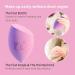 Dolovemk 6 PCs Makeup Sponges - Soft Latex-Free Beauty Blenders for Flawless Foundation & Powder Application (6 Colors) - Buy Online on GoSupps.com
