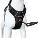 Bossdog No Pull Dog Harness and Lead Set | Anti Pull Dog Harness No Pull For Small Medium Large and Puppy Dogs | Features Sturdy Top Handle and Reflective Strips (Large Black) Large Black