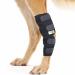RockPet Dog Hind Leg Joint Brace, Therapeutic Hip Bandage for Canines (M)