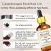 Greenwood Essential Pure Chaulmoogra Oil - Therapeutic Grade Cold Pressed 30ml (1 oz) - Natural Healing Oil for Skin & Health - International Shipping - Buy Online on GoSupps.com