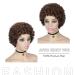 Short Afro Kinky Curly Human Hair Wig for Black Women - Medium Brown 6.5 Inch - African American Wig 30 - Buy Online on GoSupps.com