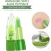 Aliin Lipstick Change Permanent Waterproof Moisturising Discolouration Lip Care Aloe (Multicoloured One Size) 1 count (Pack of 1) multicoloured - Buy Online on GoSupps.com
