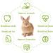 Premium Timothy Hay Sticks: Natural & Nutritious Treats for Small Pets - Buy Online on GoSupps.com