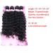 Frelyn Deep Wave Curly Synthetic Hair Weave Bundles 16-20 Inches Black - 4 Pack | High Heat Resistant Soft Fiber - Buy Online on GoSupps.com