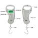 Digital Fish Scale Hanging Scale | 110 lb/50 kg Portable Postal Scale with Temperature Display & Backlit LCD | Fish Lip Clip & Tape Measure | Fishing Gifts for Men - Valentine's Day Gift - Buy Online on GoSupps.com