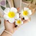 ZSPERKLA 3PCS Hawaiian Flower Hair Clips White Flower Clips Bridal Wedding Party Beach Hair Accessories - Buy Online on GoSupps.com