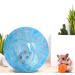 Hamster Ball TAIZER 2Pcs Hamster Run Ball Hamster Exercise Ball Hamster Exercise Wheel Mini Jogging Running Ball Plastic Pet Rodent Mice Gerbil Jogging Ball Funny Toy Small Animal Pet Exercise Playing - Buy Online on GoSupps.com