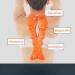 Wavata Trapezius Stretcher - Neck & Back Pain Relief | Trigger Point Massage for TMJ & Upper Back | Crab Clip Neck Pillow - Buy Online on GoSupps.com