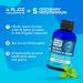 Water Flosser Rinse - Concentrate Mouthwash (44 fl. oz) | Mint Flavor Alcohol & Fluoride Free Travel Size - Perfect for Your Water Flosser - Buy Online on GoSupps.com