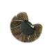 Bohemian Peacock Feather Hair Clip - Elegant Wedding Hair Accessory (Style 3) - Buy Online on GoSupps.com