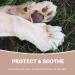 Pet Purest Coconut Paw & Nose Balm 100% Natural Moisturizer for Dogs & Cats - Soothes Itchy Skin & Dry Nose - 100ml - Buy Online on GoSupps.com