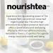 Nourishtea - The Emerald Path | Organic premium loose leaf green tea | Low-Caffeine | Brew over 40 cups | 100g Pouch - Buy Online on GoSupps.com