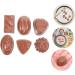 HOMSFOU 24 Pcs Simulation Chocolate Decorative Chocolate Decor Fake Candy Cake Decorating Fake Cookies Kids Bulk for Desserts Desktop Fake Chocolate Artificial Children's Products Pvc 3d Coffeex4pcs 3.9X2.8X1.8CMx4pcs - Buy Online on GoSupps.com
