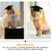 Beavorty Elastic Doctor Cap & Graduation Cap Set for Dogs Perfect Pet Cosplay Hats 5.5x3.5cm Yellow | Shop Internationally - Buy Online on GoSupps.com