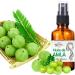 100% Pure Amla Oil - Indian Beauty Secret for Shiny and Healthy Hair . Pure Amla Hair Oil Chemical Free - Buy Online on GoSupps.com