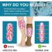Shop Kuzimua 6 Pair Compression Stockings - Knee Socks for Men & Women | Sports Travel Pregnancy Medical Support - S-M Brown - Buy Online on GoSupps.com